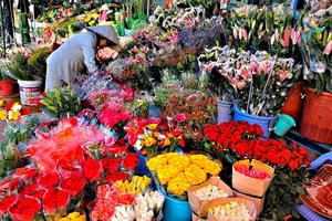 TP Hồ Chí Minh sẽ có trung tâm giao dịch hoa