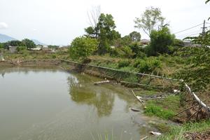 Đà Nẵng: Xử phạt hàng chục đơn vị gây ô nhiễm môi trường