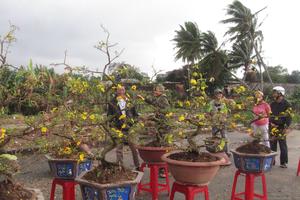 Đà Nẵng: Hỗ trợ cho người bán hoa Tết
