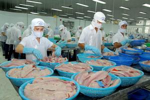 Cảnh báo lừa đảo trong xuất khẩu thủy sản ra thị trường quốc tế