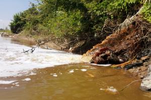 4 doanh nghiệp xả thải ô nhiễm sông Đáy đã phải nộp phạt