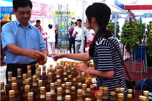 Khai mạc Hội chợ Xuân Giảng Võ 2017