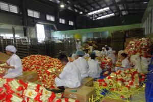 Xử phạt 62 đơn vị vi phạm trên 467 triệu đồng