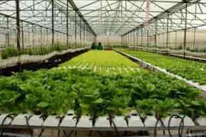  Tiếp tục khẳng định vai trò chủ lực trên thị trường tài chính nông thôn
