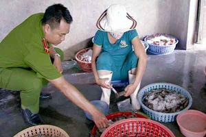 Kiên quyết xử lý hành vi bơm tạp chất vào tôm