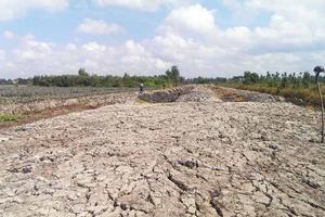 Đồng Tháp: Đề nghị hỗ trợ 60 tỷ đồng chống hạn