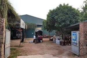 Gia Lâm: Cần xem xét trách nhiệm Chủ tịch UBND xã Kim Lan