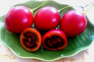 Cà chua lạ 1 triệu đồng/kg: Hàng hiếm xôn xao Hà Thành