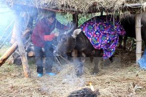 Vùng núi khu vực phía Bắc trời rét đậm, có nơi dưới 10 độ C