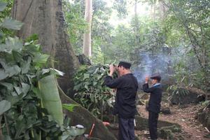 Nhân văn lễ hội cúng rừng của người Nùng