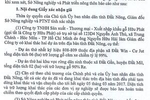 Doanh nghiệp giả mạo chữ ký và con dấu của Giám đốc Sở để khai thác gỗ