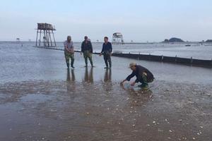 Đề nghị tỉnh Thanh Hóa làm rõ tình trạng ngao chết