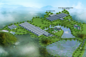Trứng gà Việt Nam tiêu chuẩn Mỹ, Nhật