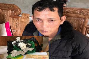 Bắt 2 vụ vận chuyển động vật hoang dã và ma túy