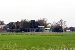 Thanh Oai, Hà Nội: Vi phạm đất đai kéo dài, gây phát sinh khiếu kiện