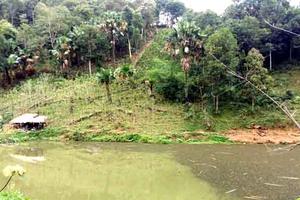  Kỳ I: Ai “bao che” trong vụ tranh chấp đất nông nghiệp?