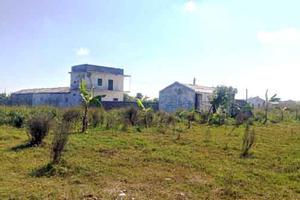  Bị phạt hàng trăm triệu đồng vì vi phạm môi trường