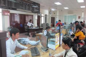 Hơn 10 ngàn ha cà phê Tây Nguyên được tái canh từ nguồn vốn Agribank