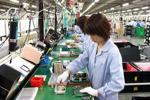 Nhiều người Việt cư trú bất hợp pháp ở Nhật Bản bị bắt