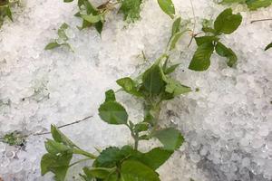 Mưa đá cường độ lớn trên địa bàn giáp ranh Điện Biên và Sơn La