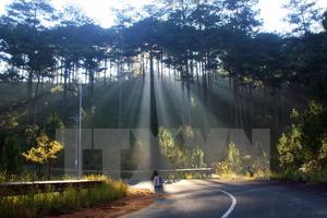 Miền Bắc ấm dần, trời hửng nắng, nhiệt độ tăng tới 4 độ C