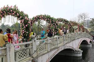 Ban tổ chức Lễ hội hoa hồng Bulgaria và bạn bè bị lập biên bản