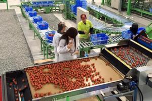 Lấn cấn gói vay 100 ngàn tỷ cho nông nghiệp: Doanh nghiệp lo không dễ “xơi”