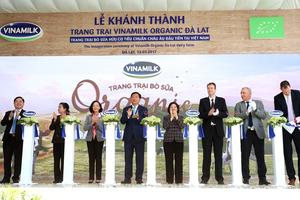 Trang trại bò sữa Organic tiêu chuẩn châu Âu đầu tiên được khánh thành