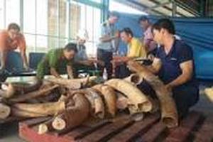 Thay thế người đứng đầu có biểu hiện bao che cho buôn lậu