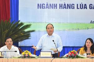 Còn nhiều bất cập trong phát triển ngành hàng lúa gạo