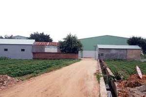 Cty Quỳnh Giang (Bắc Ninh): Ngang nhiên vi phạm pháp luật