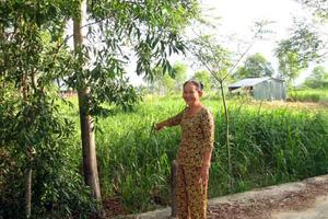 Sai phạm đất đai ở Sơn Tịnh (Quảng Ngãi): Xử lý chưa nghiêm!