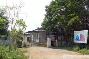 Cần thanh tra 213ha rừng Hà Tĩnh bị phá và chiếm