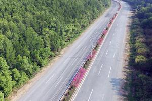 TP Hồ Chí Minh xây dựng cầu Cần Giờ