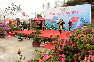 Lễ hội hoa đỗ quyên Fansipan hút khách