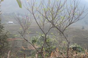 Miền Bắc lại đón không khí lạnh vào 27/4, Hà Nội có mưa rào