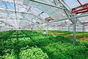 Sẽ hướng dẫn giải ngân gói 100.000 tỷ trong tháng này