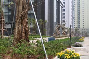 Quy hoạch giao thông tạo “cú hích” thị trường BĐS Tây Hà Nội
