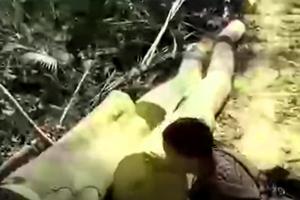Làm rõ trách nhiệm việc khai thác gỗ trái phép ở Quan Sơn 	