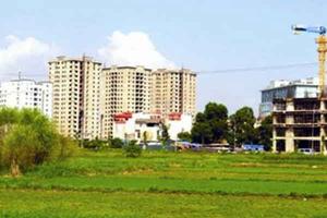 Hà Nội: Quyết liệt triển khai việc giao đất dịch vụ
