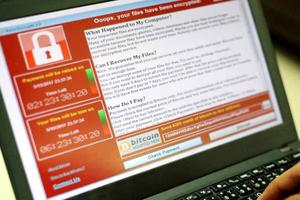 TP Hồ Chí Minh chỉ đạo ứng phó khẩn với mã độc WannaCry