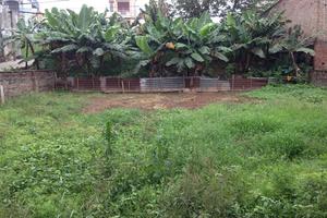 Nỗi đau người mẹ liệt sỹ