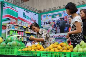 Hapro được định giá hơn 4.000 tỷ đồng