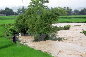 Xuất hiện lũ trên thượng nguồn sông Hồng và sông Thái Bình