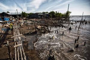 Cà Mau mất 450ha đất ven biển mỗi năm do biến đổi khí hậu