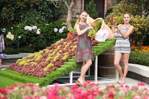 Du khách hào hứng với lễ hội rượu vang Sun World Ba Na Hills 