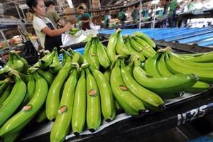 Công bố "danh sách đen" 13 công ty chuyên lừa doanh nghiệp Việt