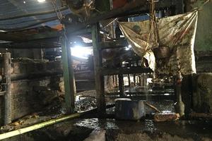 Phú Thọ yêu cầu Nhà máy giấy Thuận Phát xử lý nguồn nước thải gây ô nhiễm