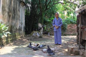 Hai lão nông chịu cô lập, bị trả thù để phanh phui tiêu cực