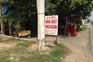  Horea cảnh báo “sốt giá ảo đất nền”